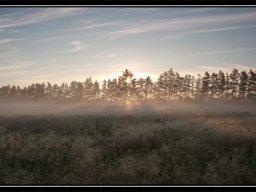 IMGP2921-Morgen-dis-over-Kongenshus